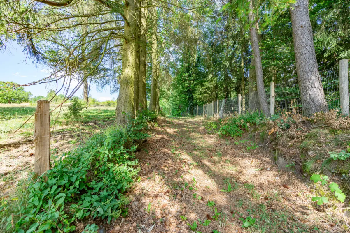 Terrain à vendre à Vielsalm 6690 60000.00€  chambres m² - annonce 552010