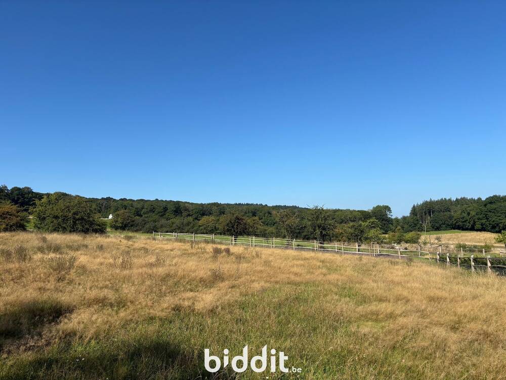 Terrain à vendre à Septon 6940 70000.00€ chambres m² - annonce 552036