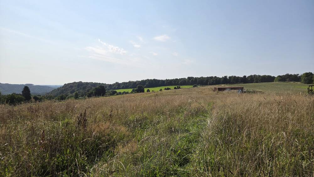 Terrain à vendre à Les Hayons 6830 190000.00€ chambres m² - annonce 552452