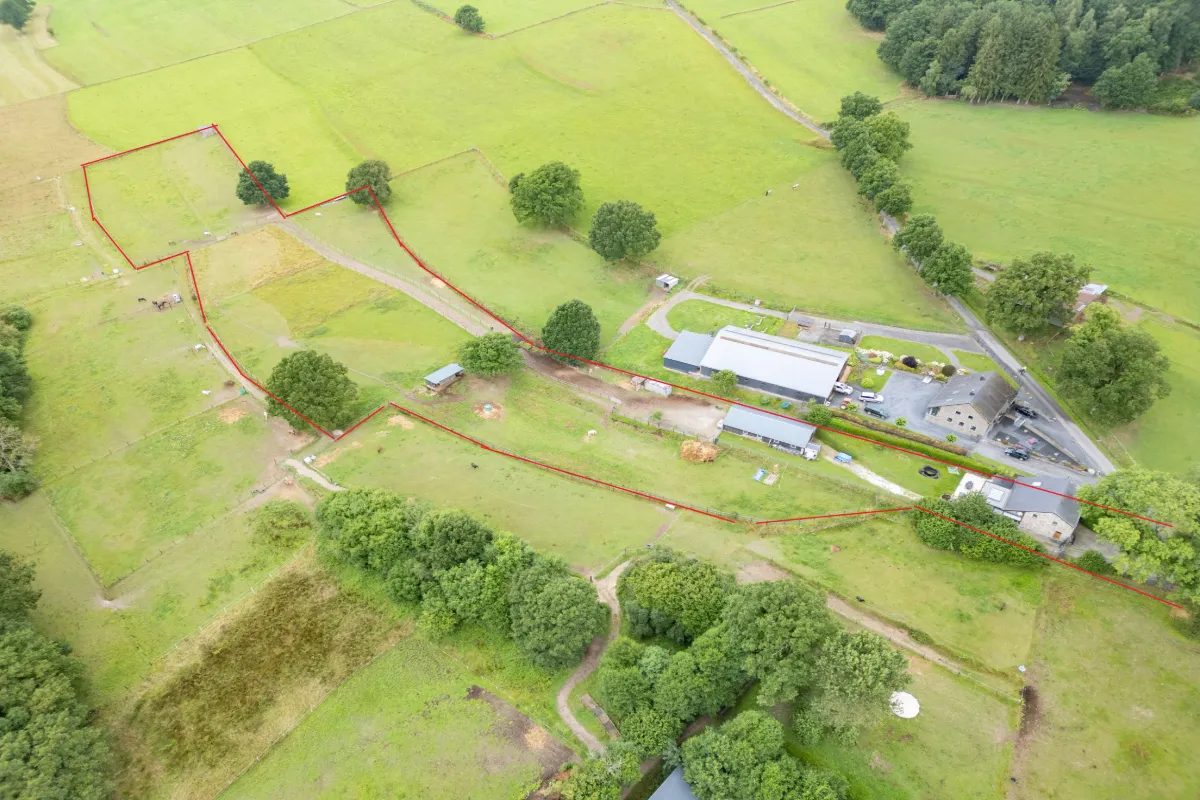 Maison à vendre à Vielsalm 6690 649000.00€ 3 chambres 260.00m² - annonce 555921