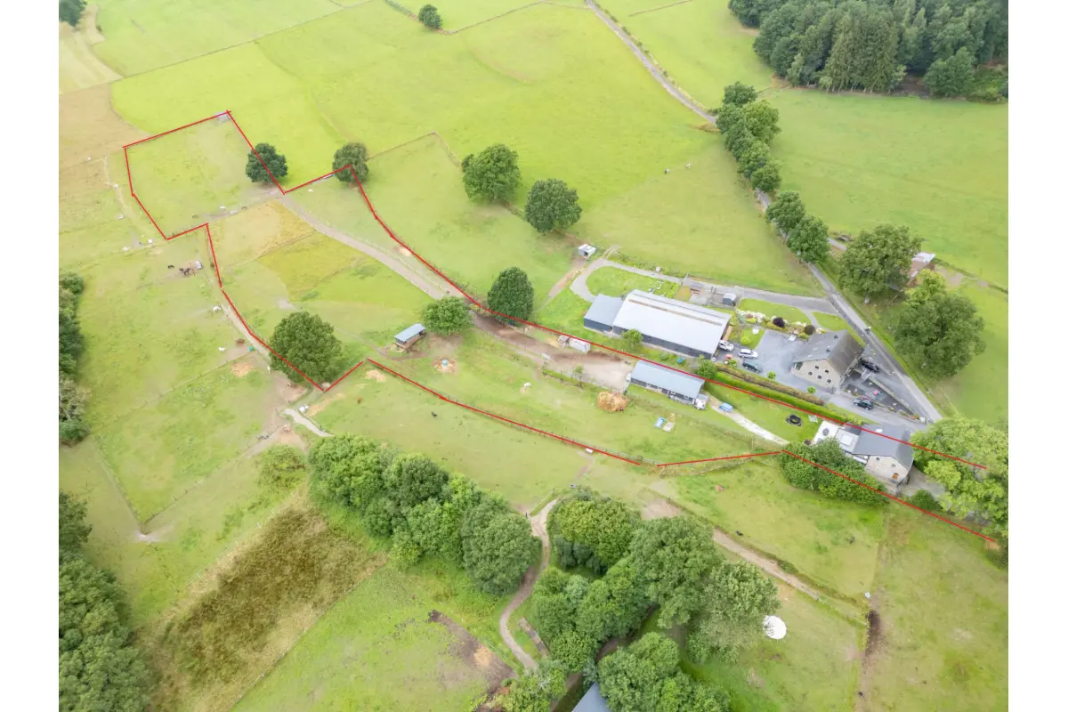 Maison à vendre à Vielsalm 6690 649000.00€ 3 chambres 260.00m² - annonce 555921