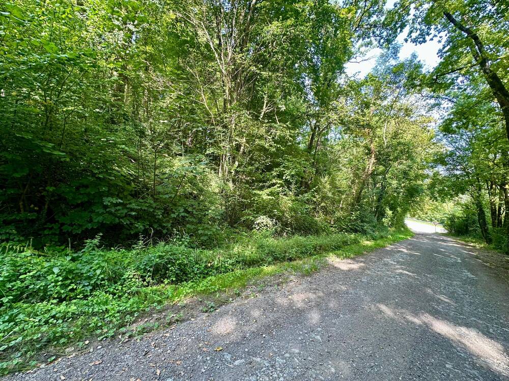 Terrain à vendre à Bende 6941 290000.00€ chambres m² - annonce 557280