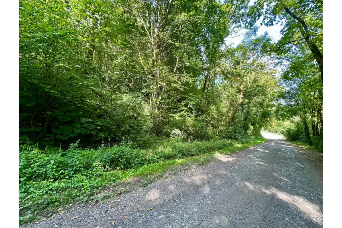 Terrain à vendre à Bende 6941 290000.00€  chambres m² - annonce 557280