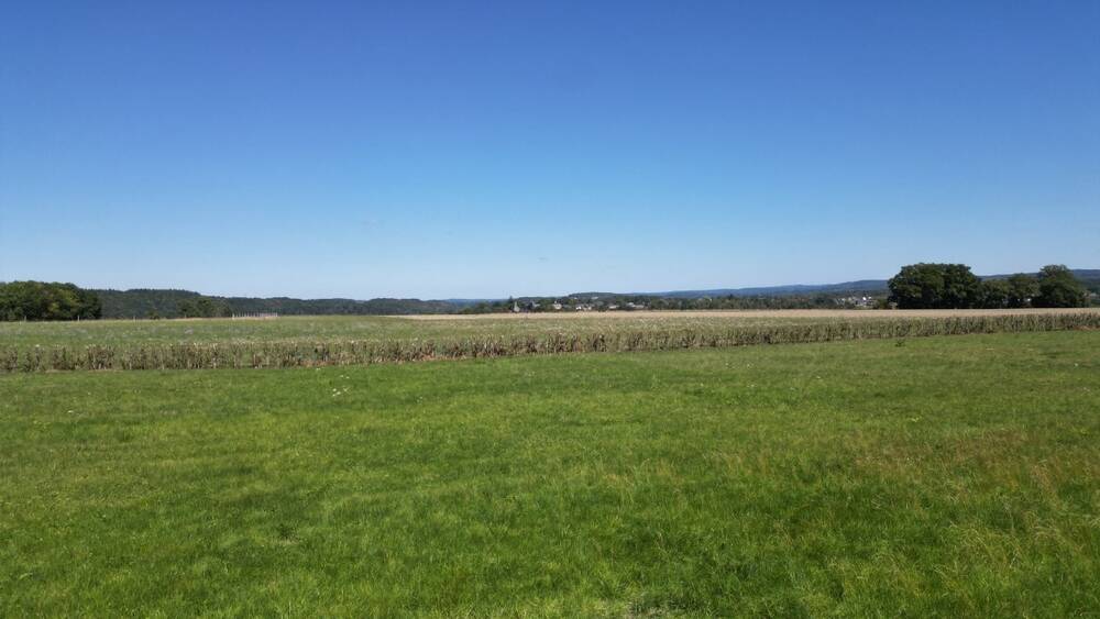 Terrain à bâtir à vendre à Durbuy 6940 76000.00€ chambres m² - annonce 564637
