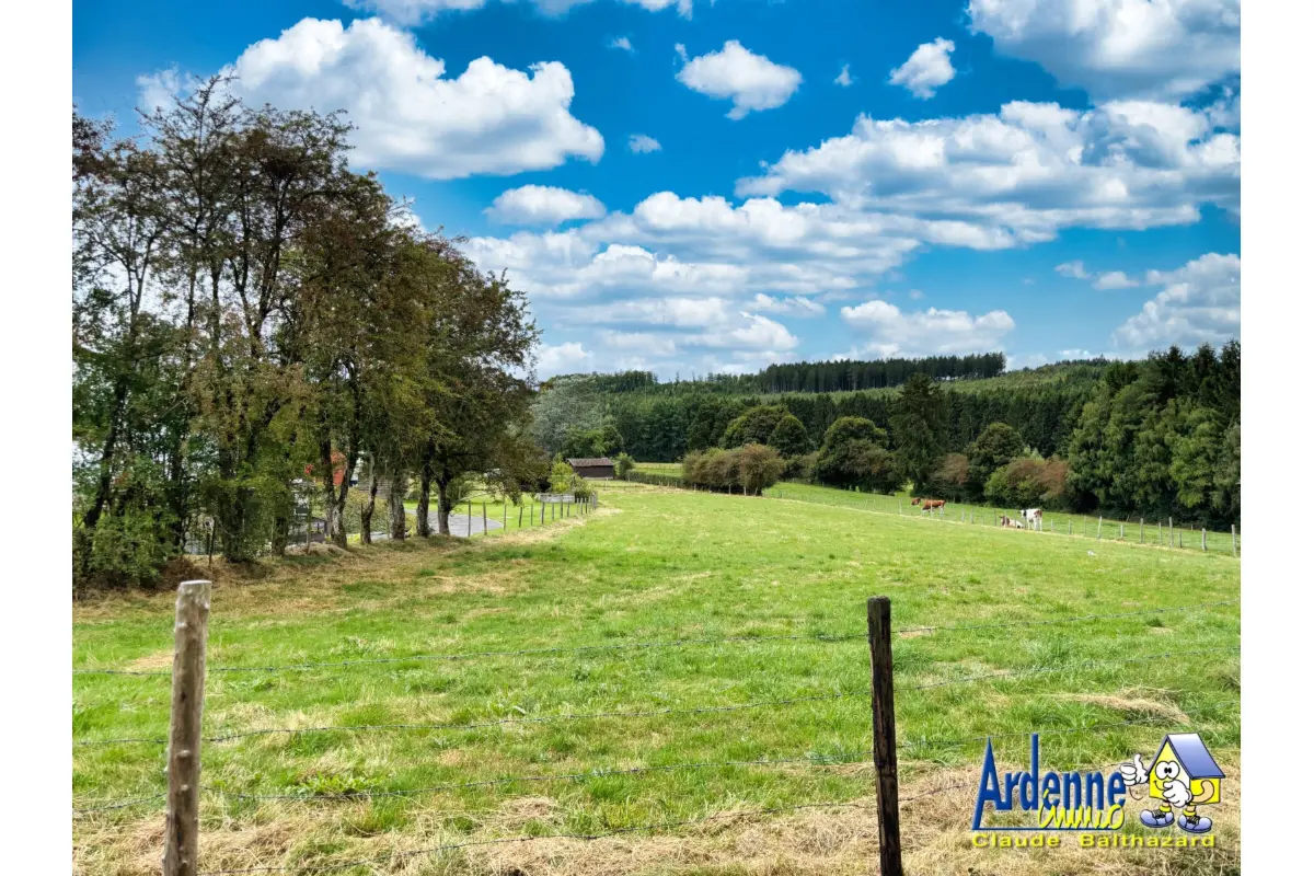 Terrain à vendre à Bovigny 6671 109000.00€  chambres m² - annonce 632654