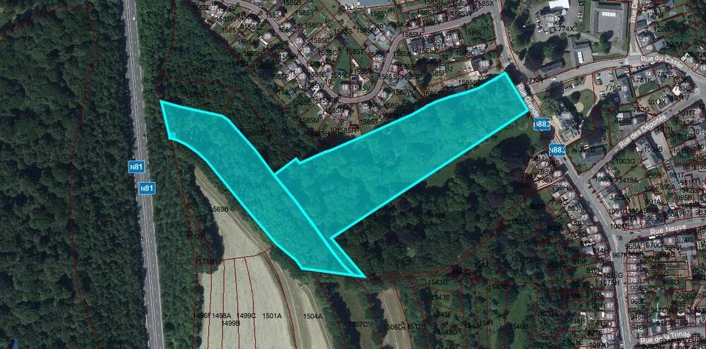 Terrain à vendre à Messancy 6780 550000.00€  chambres m² - annonce 567323