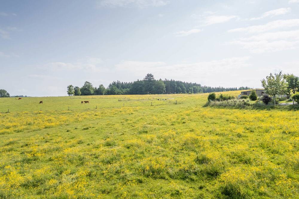 Terrain à vendre à Bertrix 6880 89000.00€  chambres m² - annonce 570529