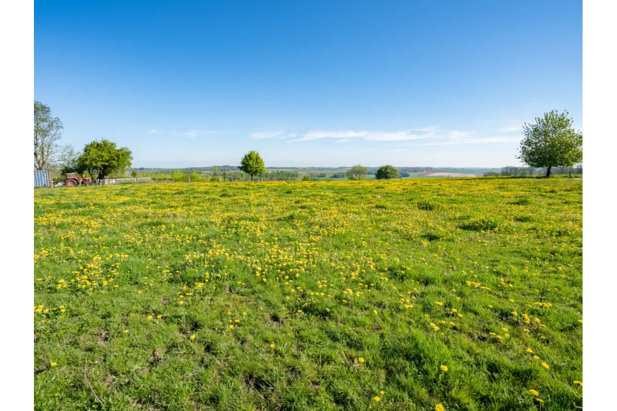 Terrain à bâtir à vendre à Durbuy 6940 89000.00€  chambres m² - annonce 571614