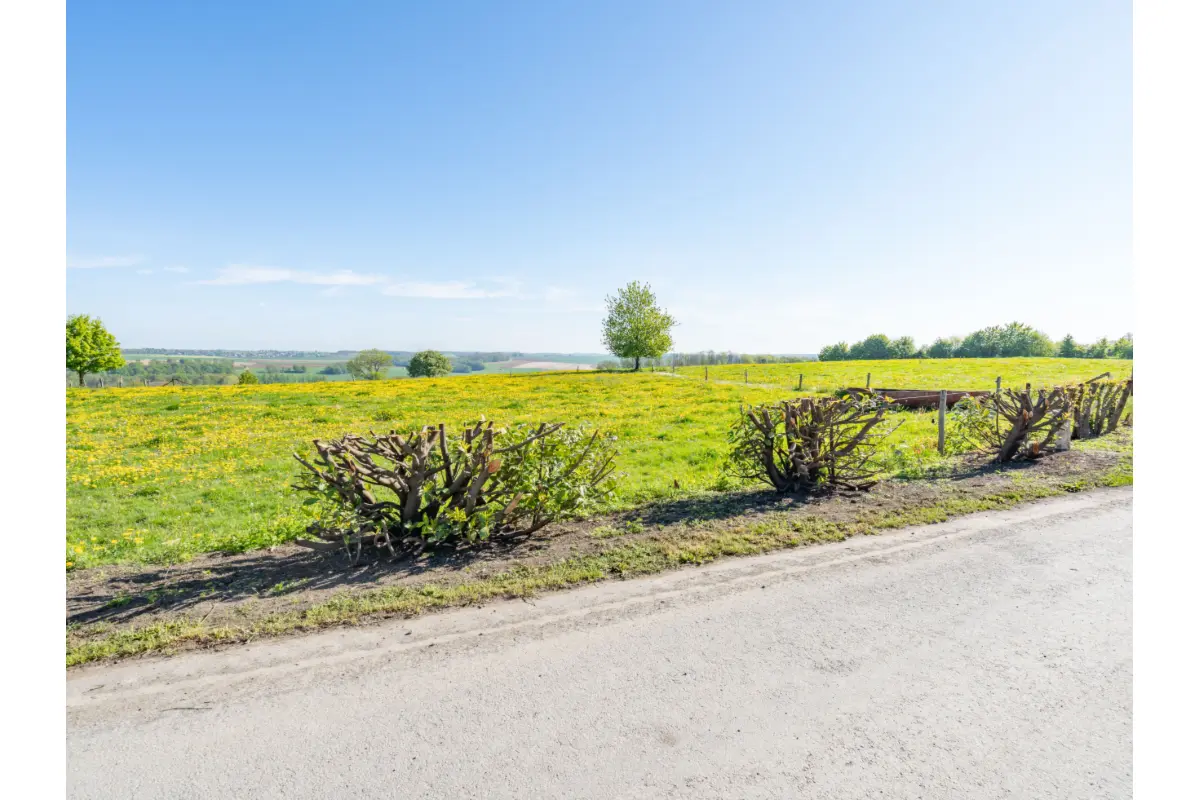Terrain à bâtir à vendre à Durbuy 6940 125000.00€  chambres m² - annonce 571617