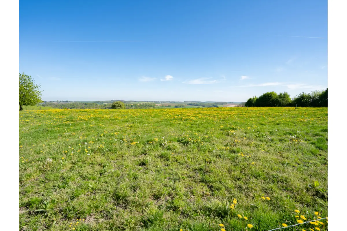 Terrain à bâtir à vendre à Durbuy 6940 129000.00€  chambres m² - annonce 571615
