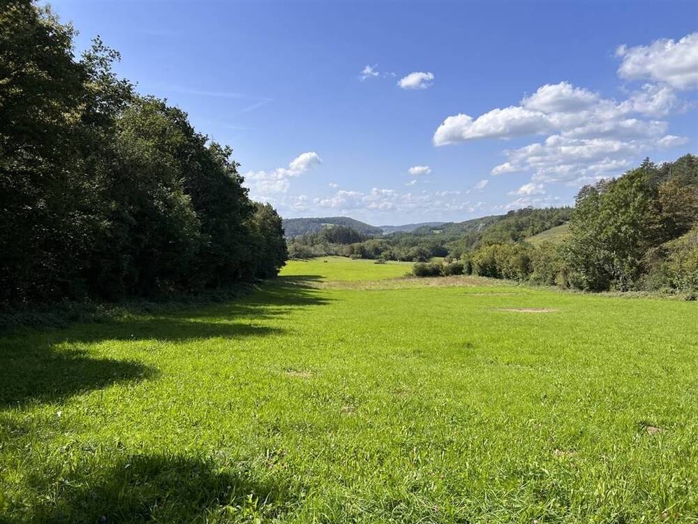 Terrain non bâtissable à  à Ave-et-Auffe 5580 40000.00€  chambres m² - annonce 576203