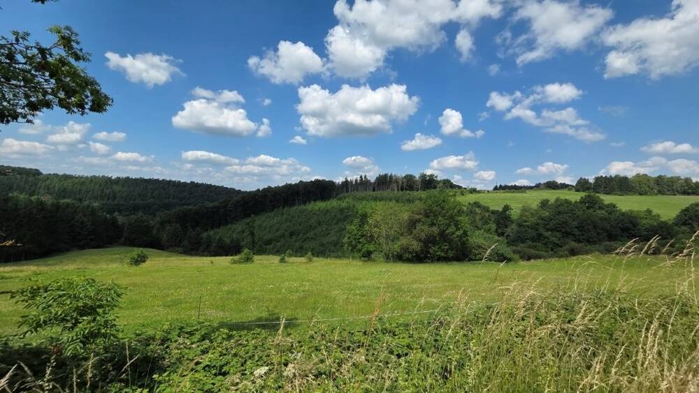 Terrain à bâtir à vendre à Erezée 6997 65000.00€ chambres m² - annonce 577612