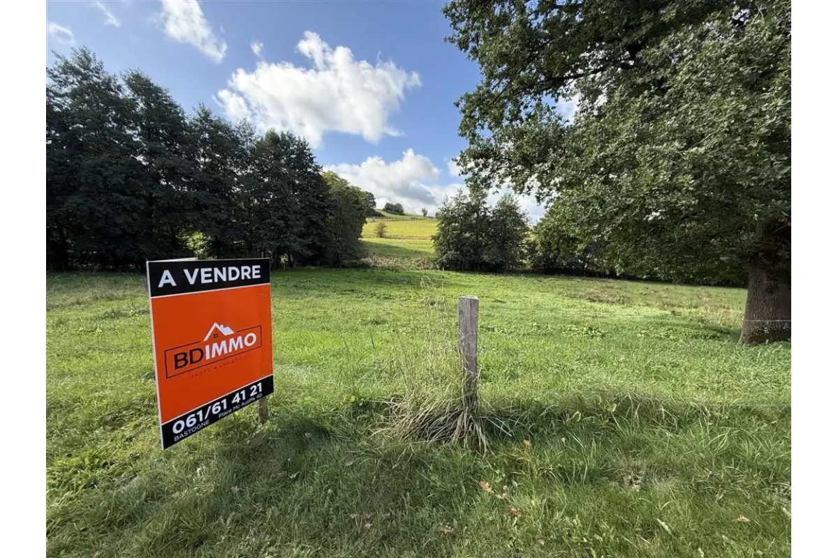 Terrain à bâtir à  à Bastogne 6600 90000.00€  chambres m² - annonce 581294