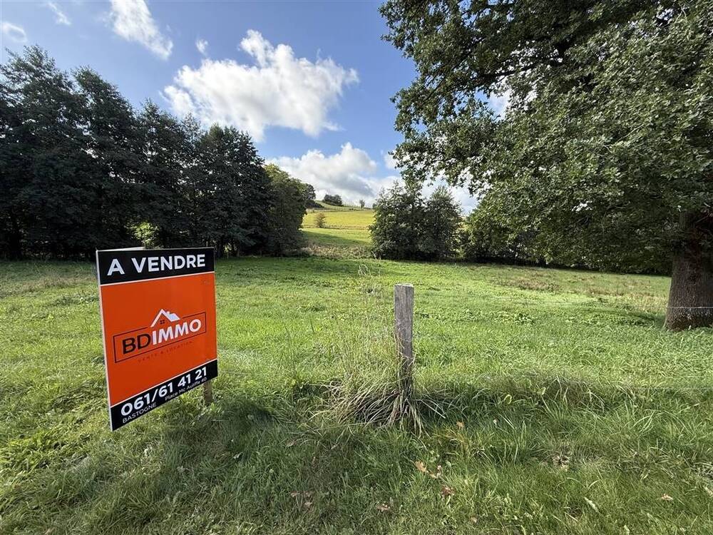 Terrain à vendre à Bastogne 6600 90000.00€  chambres m² - annonce 581294