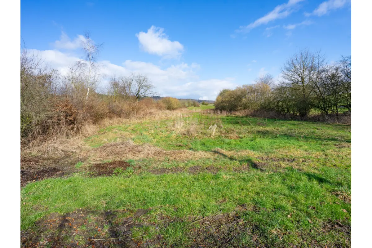 Terrain à bâtir à vendre à Durbuy 6940 105000.00€  chambres m² - annonce 589491