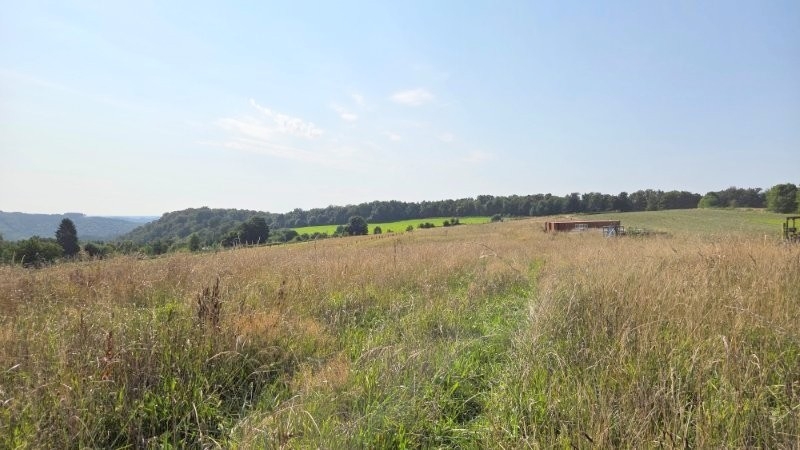 Terrain à vendre à Les Hayons 6830 190000.00€  chambres m² - annonce 589268