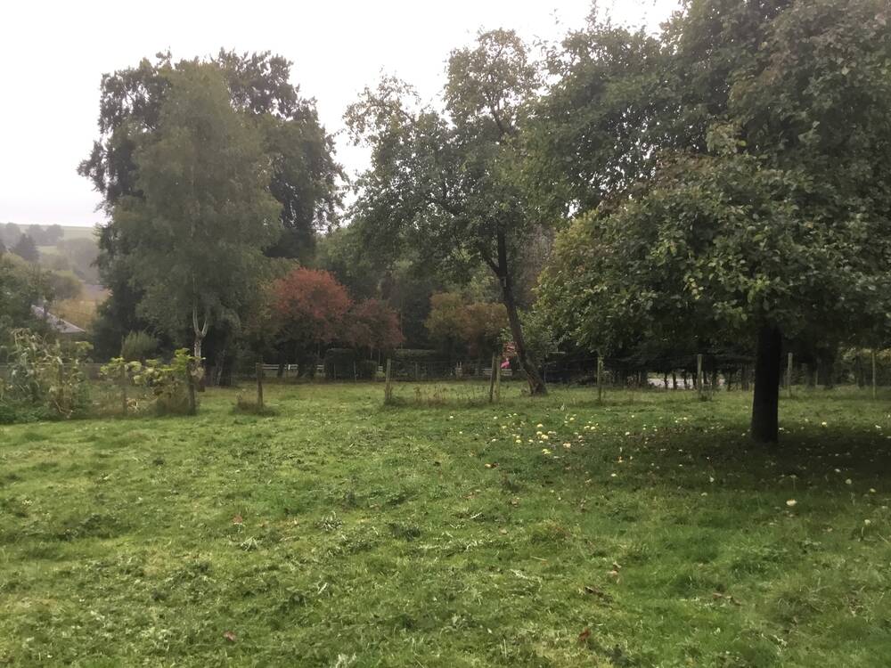 Terrain à vendre à Longlier 6840 141288.00€  chambres m² - annonce 589362