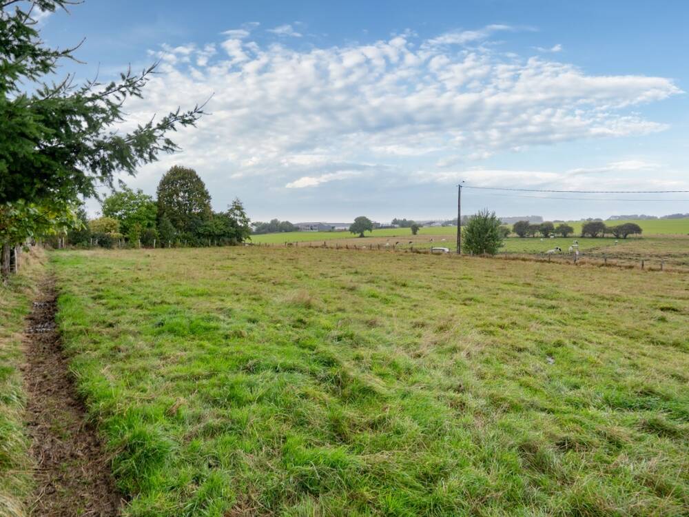 Terrain à bâtir à vendre à Paliseul 6850 65000.00€  chambres m² - annonce 595240