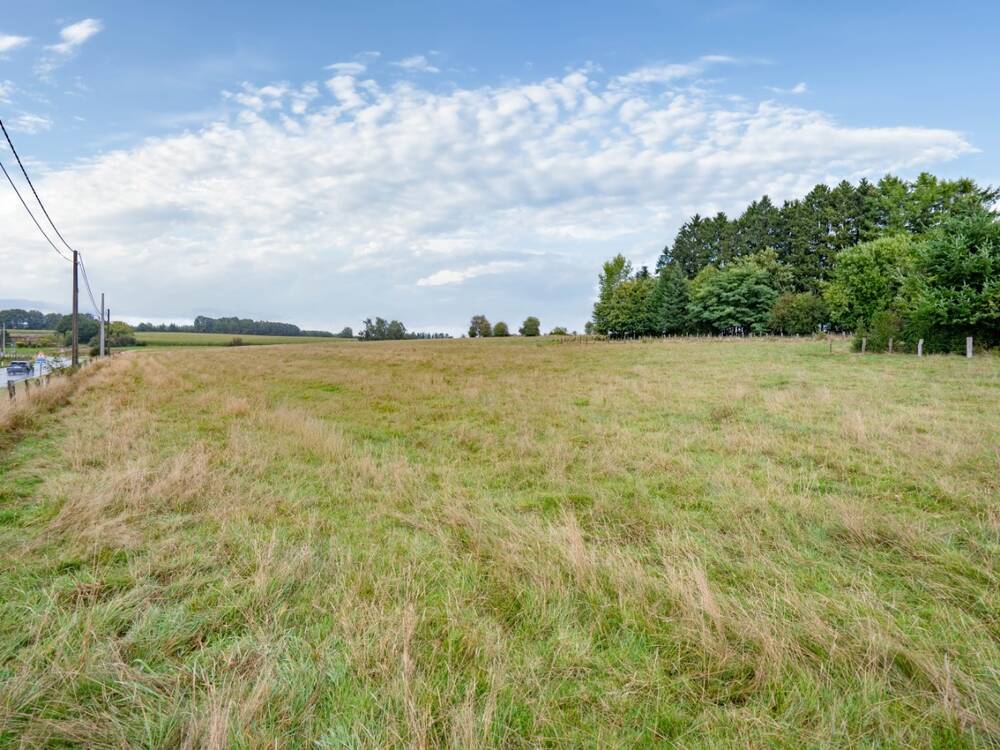 Terrain à vendre à Offagne 6850 65000.00€ chambres m² - annonce 595239