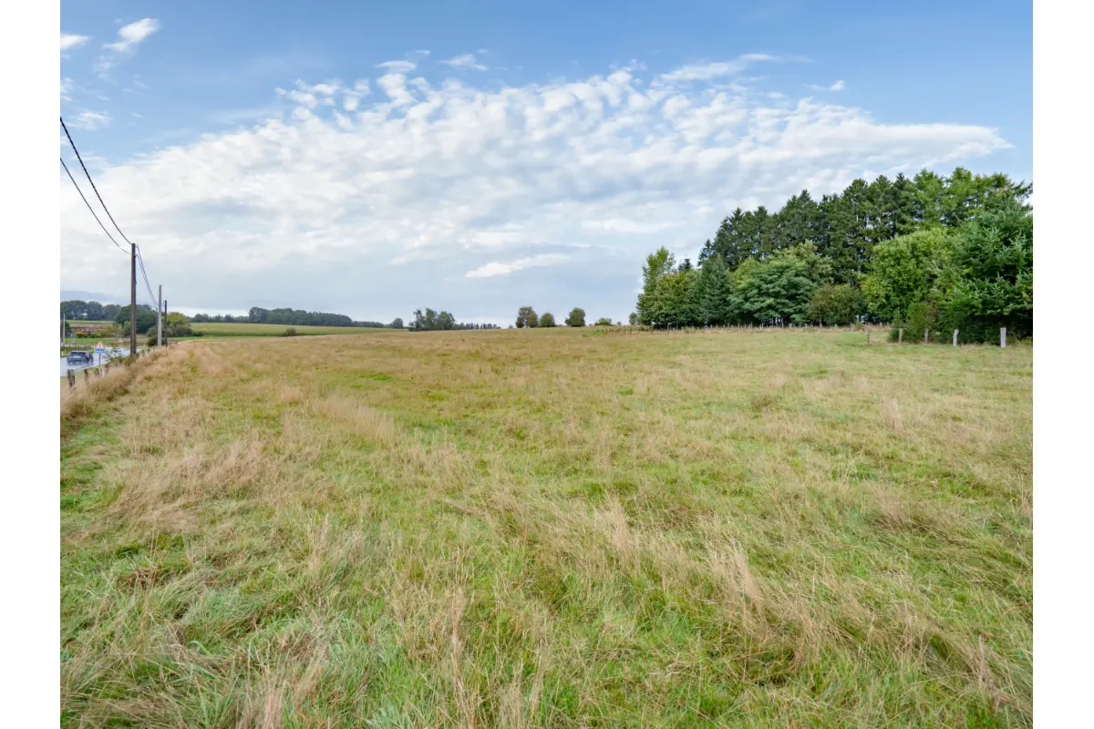 Terrain à vendre à Offagne 6850 65000.00€  chambres m² - annonce 595239