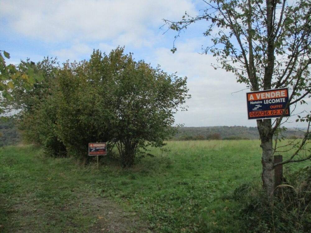 Terrain à vendre à Tohogne 6941 105952.00€ chambres m² - annonce 596459