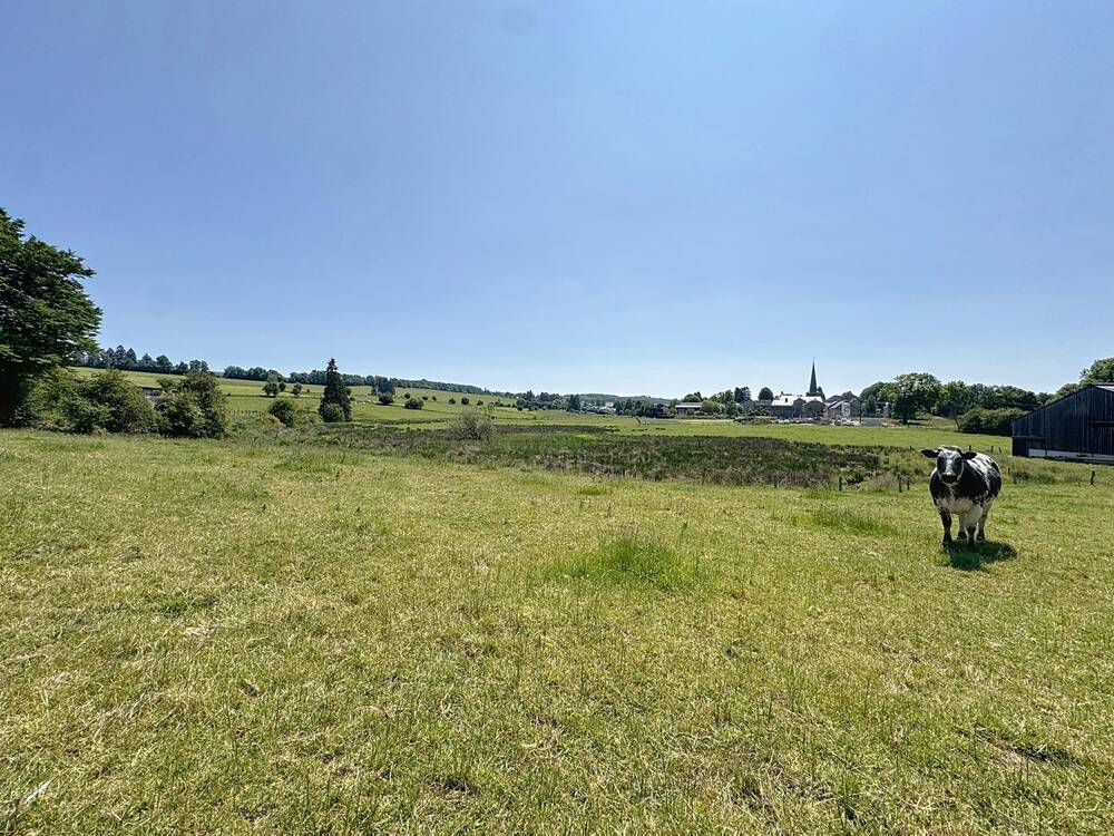 Terrain à  à Sainte-Ode 6680 99000.00€  chambres m² - annonce 599092