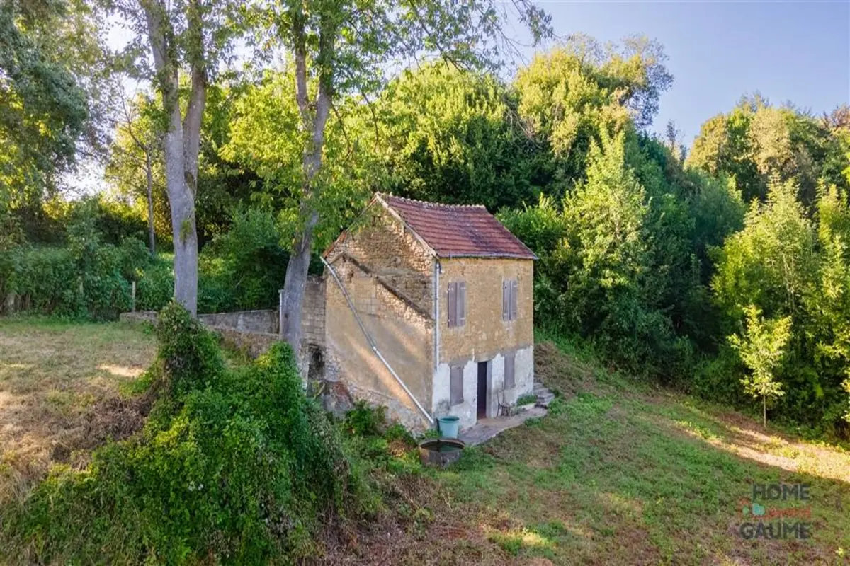 Terrain non bâtissable à vendre à Virton 6760 30000.00€  chambres m² - annonce 598775