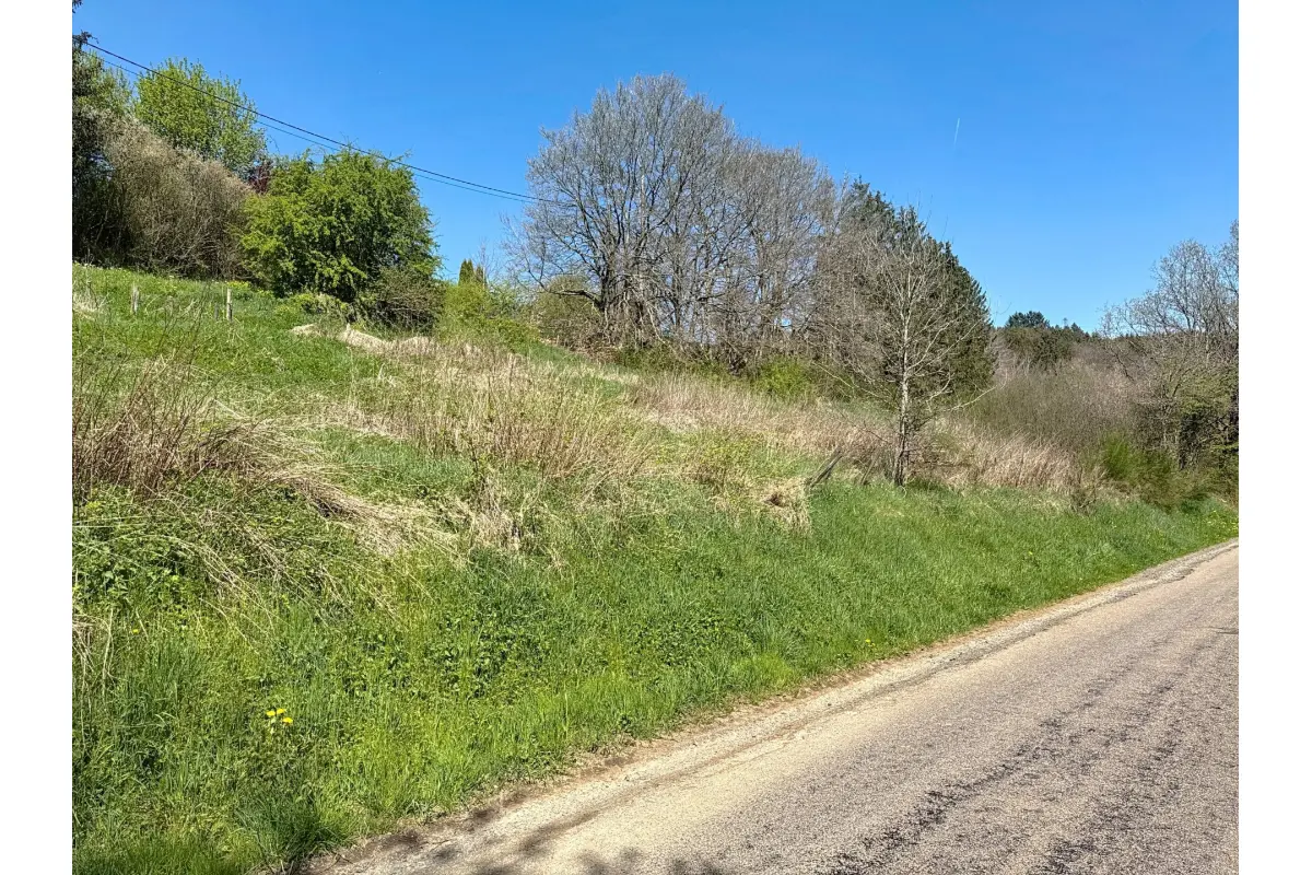 Terrain à  à Vaux-sur-Sûre 6640 75000.00€  chambres m² - annonce 599093