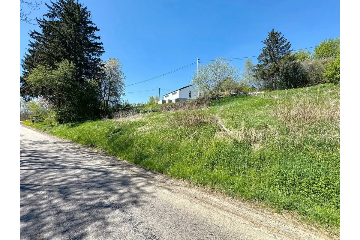 Terrain à  à Vaux-sur-Sûre 6640 65000.00€  chambres m² - annonce 599094