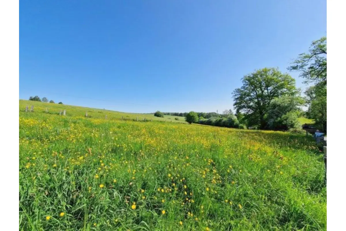 Terrain à bâtir à vendre à Les Hayons 6830 190000.00€  chambres m² - annonce 601043