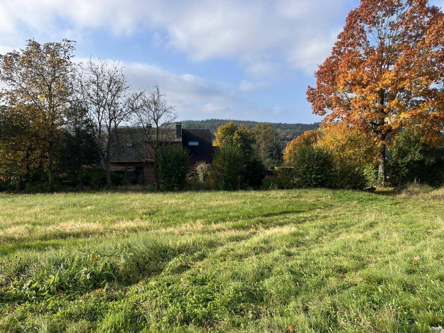 Terrain à vendre à Vesqueville 6870 79000.00€  chambres m² - annonce 603079