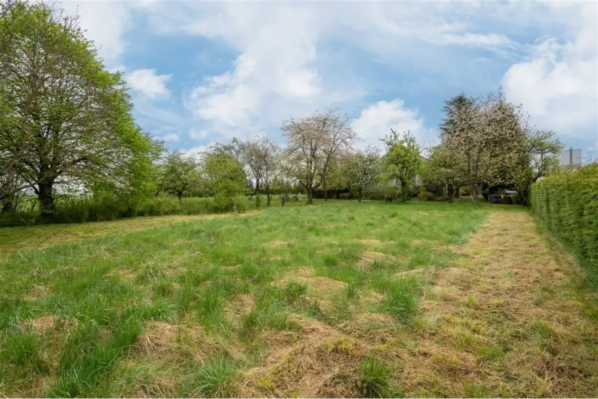 Terrain à vendre à Wolkrange 6780 175000.00€  chambres m² - annonce 604904