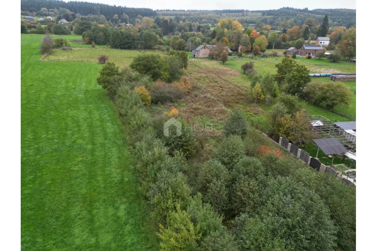Terrain à vendre à Vielsalm 6690 85000.00€  chambres m² - annonce 607398