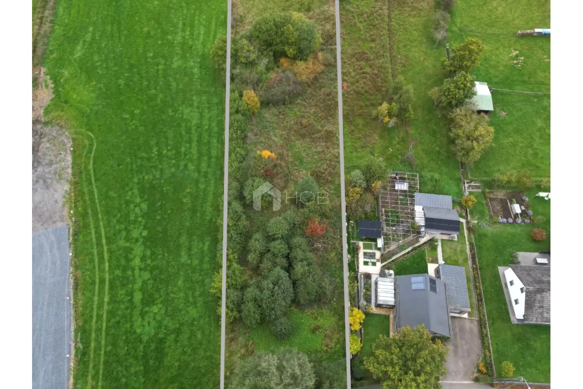 Terrain à vendre à Vielsalm 6690 85000.00€  chambres m² - annonce 607398