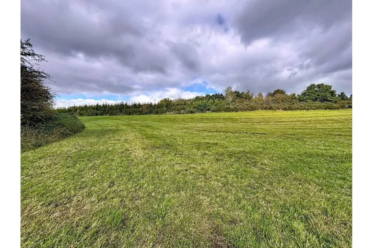 Terrain à  à Houffalize 6660 135000.00€  chambres m² - annonce 608291