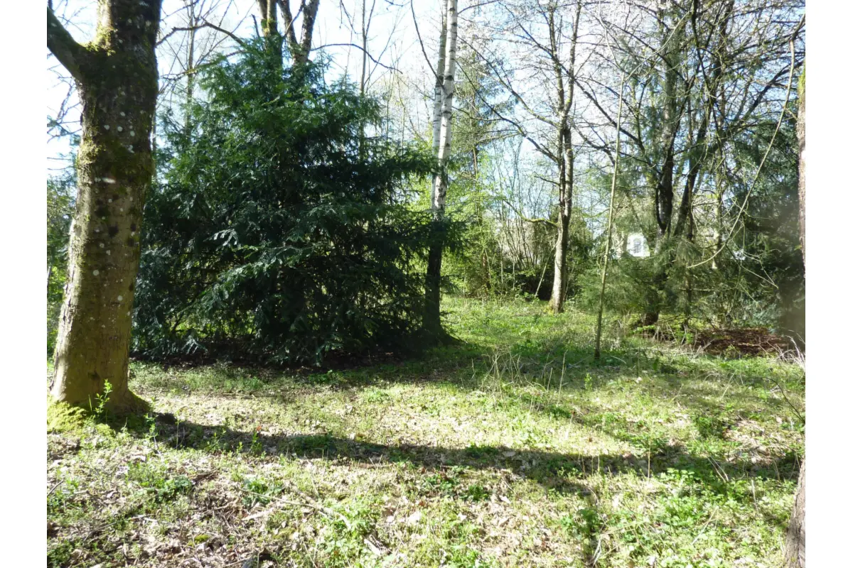 Terrain à vendre à Heinsch 6700 165000.00€  chambres m² - annonce 611502