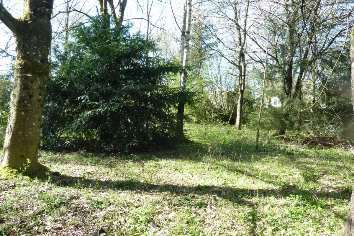 Terrain à vendre à Heinsch 6700 165000.00€  chambres m² - annonce 611502