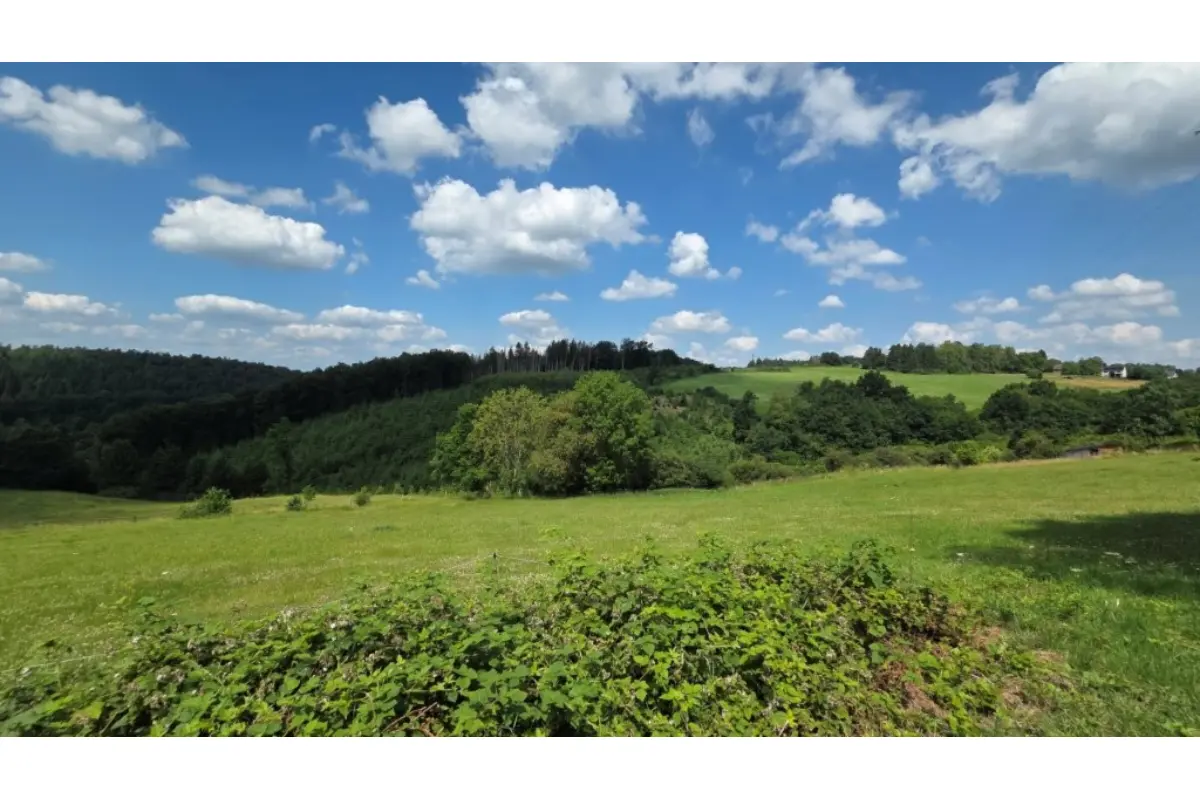 Terrain à bâtir à vendre à Erezée 6997 65000.00€  chambres m² - annonce 612751