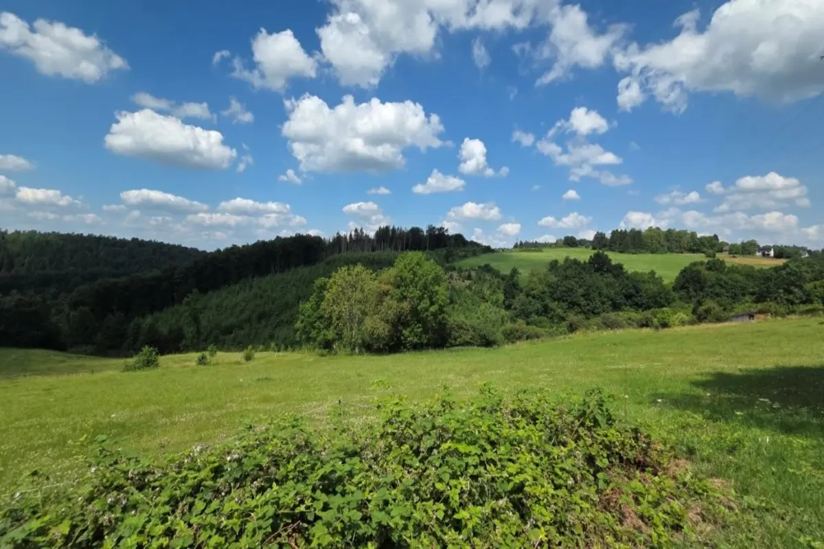 Terrain à bâtir à vendre à Erezée 6997 65000.00€  chambres m² - annonce 612751