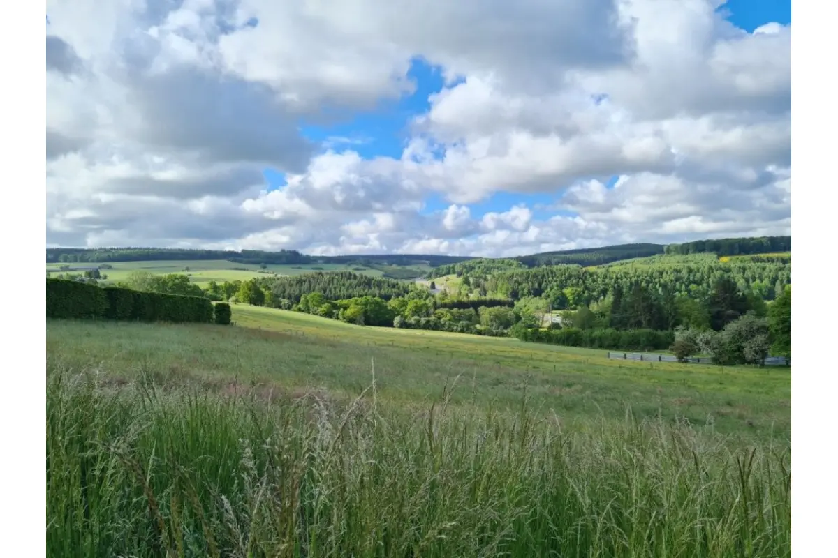 Terrain à bâtir à vendre à Tenneville 6970 105000.00€  chambres m² - annonce 612696