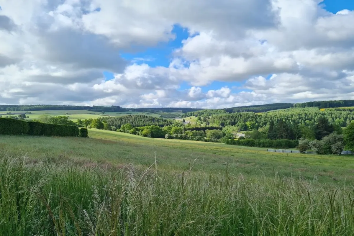 Terrain à bâtir à vendre à Tenneville 6970 105000.00€  chambres m² - annonce 612696