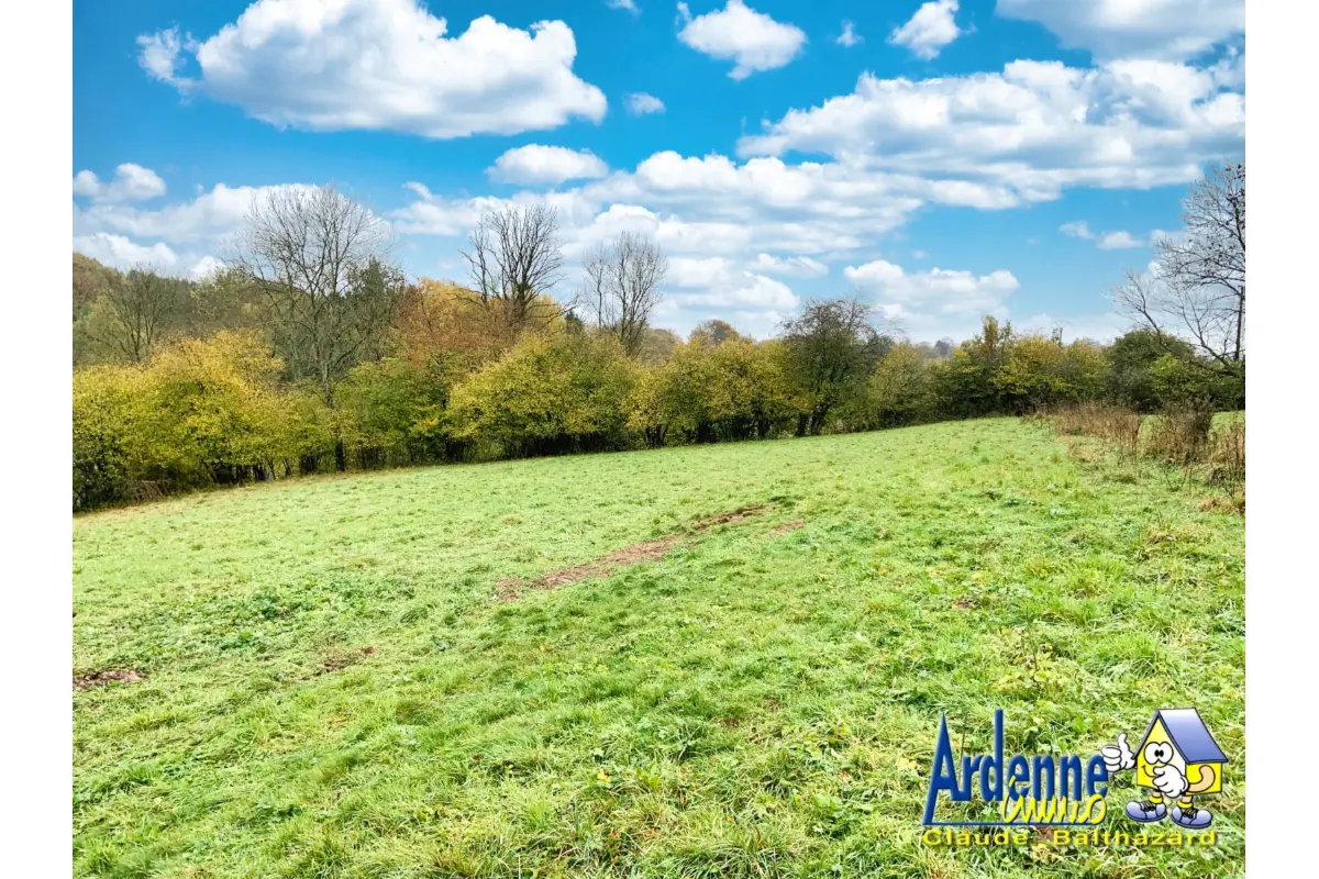 Terrain à vendre à Beffe 6987 100000.00€  chambres m² - annonce 617545