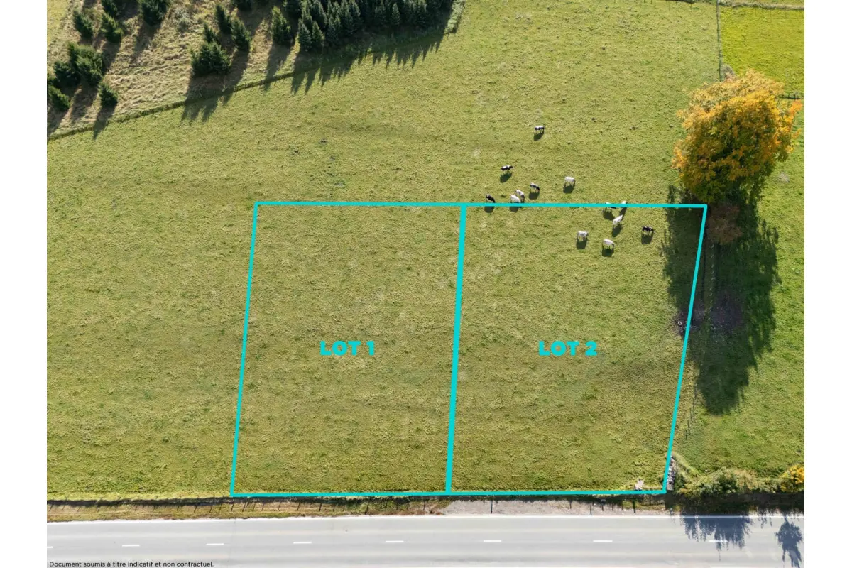 Terrain à vendre à Vielsalm 6690 120000.00€  chambres m² - annonce 623143