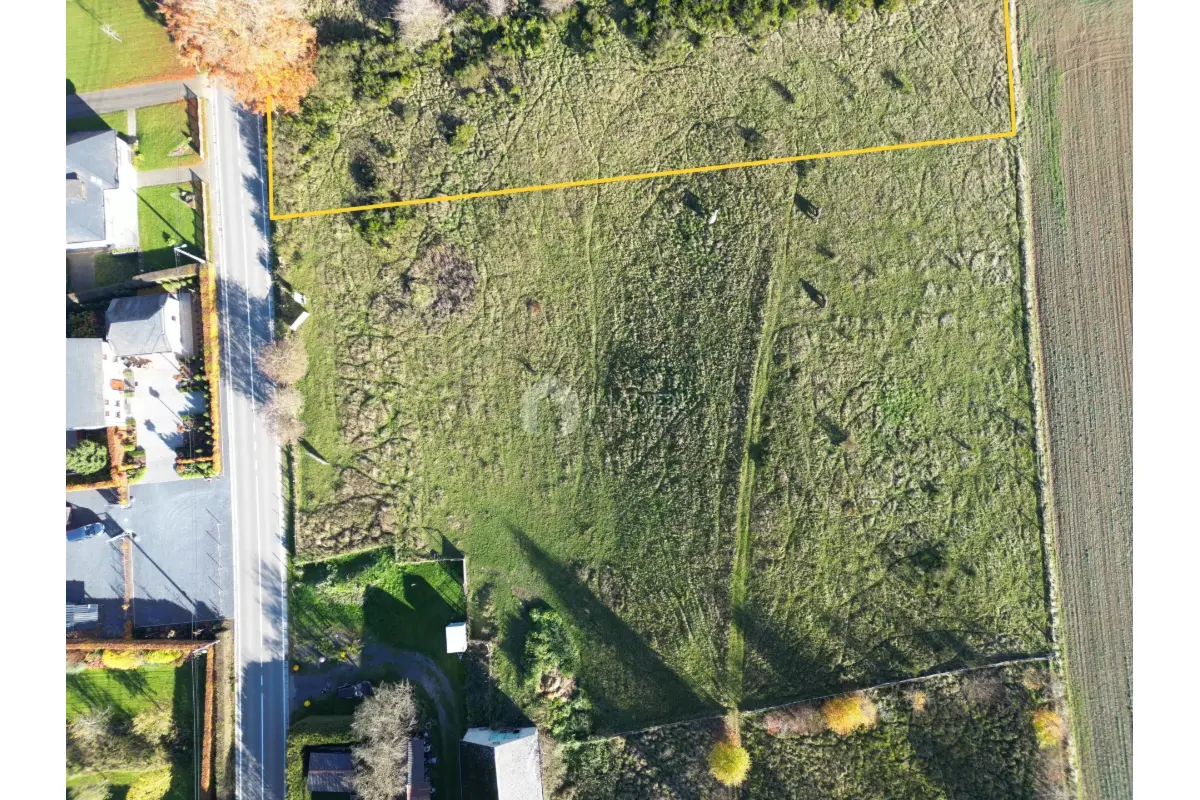 Terrain à bâtir à vendre à Gouvy 6670 75000.00€  chambres m² - annonce 625504