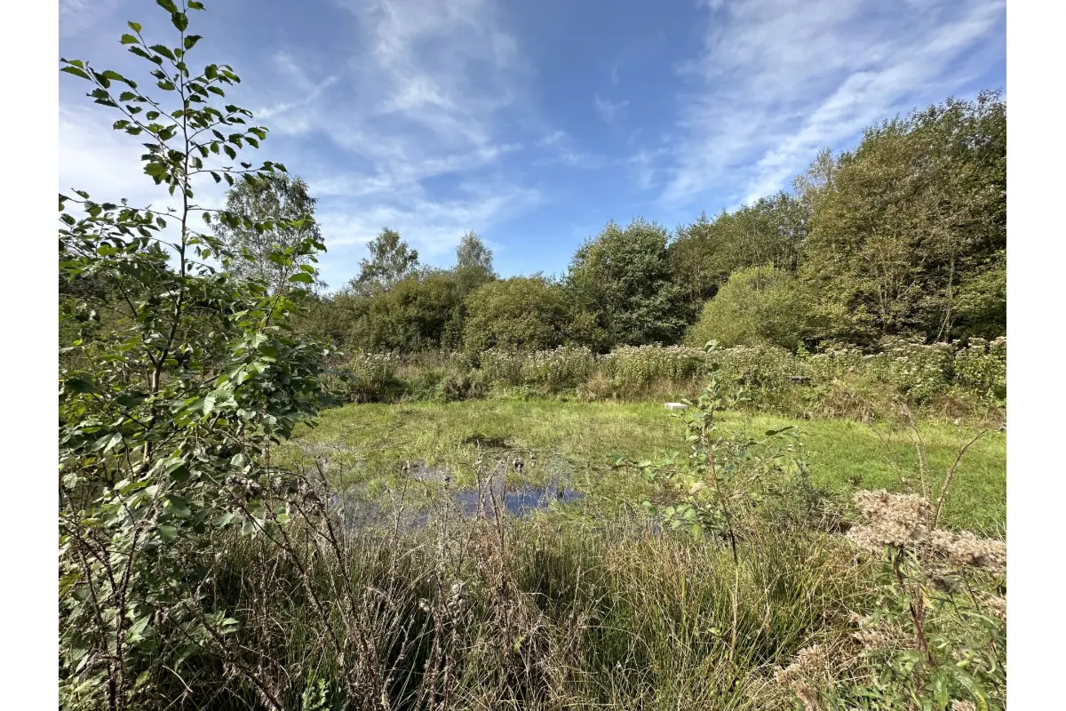 Terrain à vendre à Carlsbourg 6850 99000.00€  chambres m² - annonce 627597