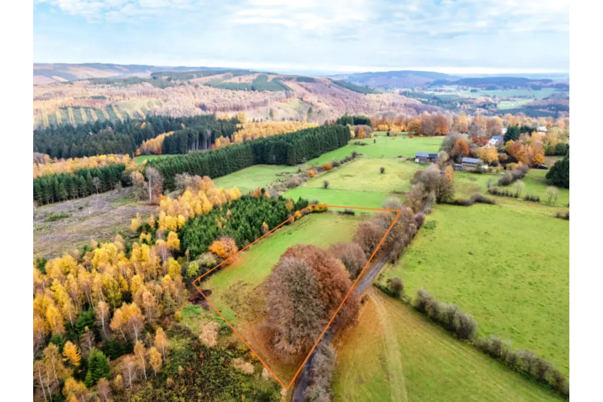 Terrain à bâtir à vendre à Manhay 6960 165000.00€  chambres m² - annonce 635288