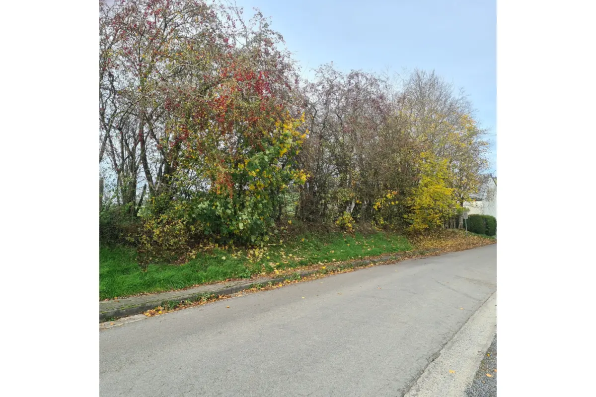 Terrain à bâtir à vendre à Sainte-Ode 6680 75000.00€  chambres m² - annonce 635307