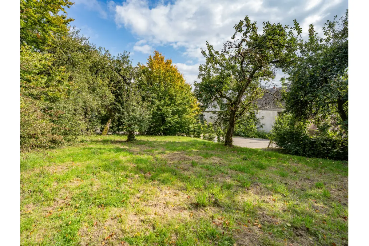 Terrain à bâtir à vendre à Hompré 6640 95000.00€  chambres m² - annonce 636600