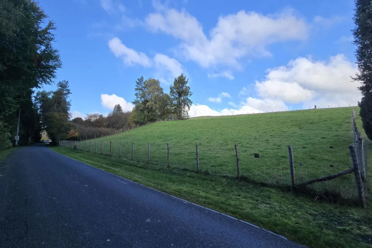 Terrain à  à Tenneville 6970 55000.00€  chambres m² - annonce 639356