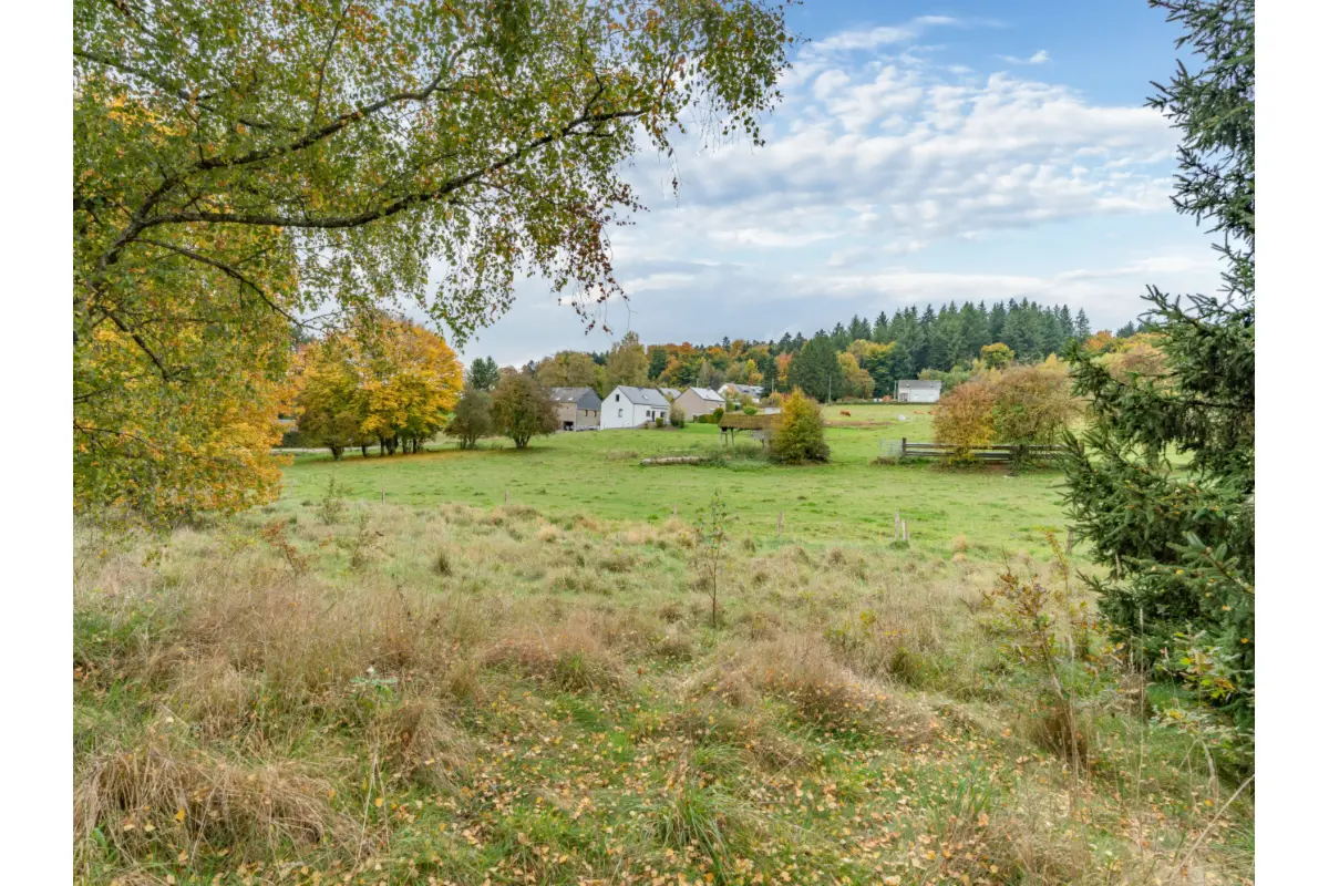 Terrain à bâtir à vendre à Maissin 6852 87000.00€  chambres m² - annonce 641584